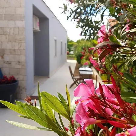 Apartment In Nin With Terrace, Air Conditioning, W-Lan 4473-1